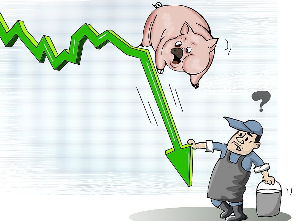 汽油大降价!11月9日,猪价“变价预警”,油价怒降240元!啥情况 汽油大降价!11月9日,猪价“变价预警”,油价怒降240元!啥情况